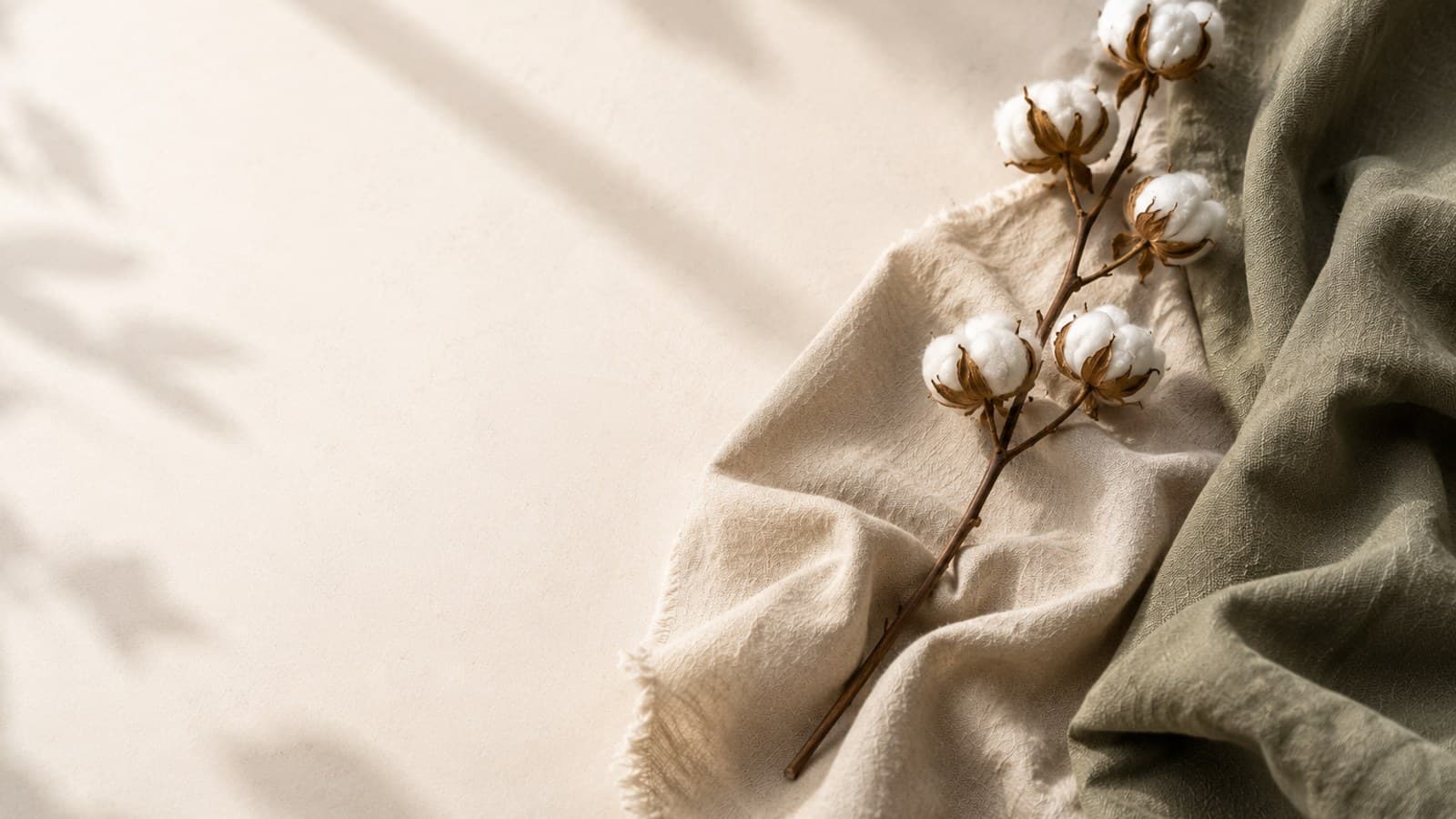 A dried cotton branch resting on folded beige linen and sage-green fabric, soft leaf-shadow falling across a plain wall beside it.